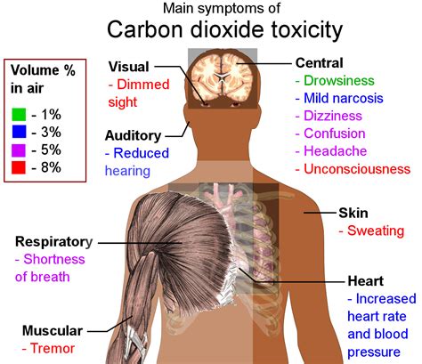 Filemain Symptoms Of Carbon Dioxide Toxicitysvg Wikimedia Commons