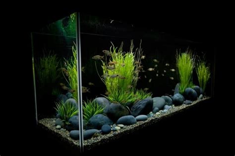 Deko Für Aquarium Selber Machen 30 Kreative Ideen