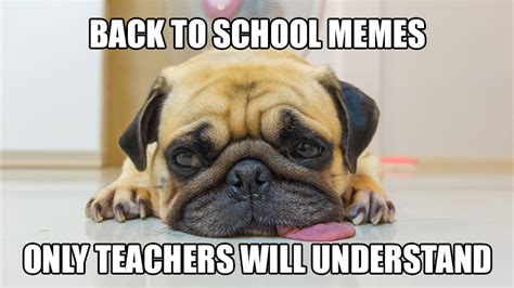 Back To School Memes Only Teachers Will Understand