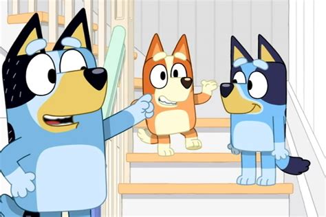 Brisbane Based Animators Bringing Bluey To A Screen Near You In 2019