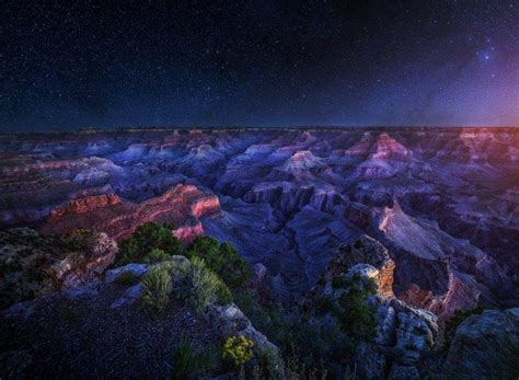 Arizona Grand Canyon Starry Night Long Exposure Shrubs Erosion