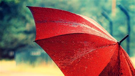 Red Umbrella Wallpapers Top Free Red Umbrella Backgrounds