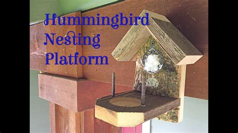 Where To Hang Hummingbird Houses My Heart Lives Here
