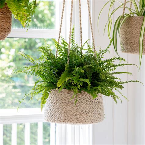 Hanging Plant Pots By Garden Trading