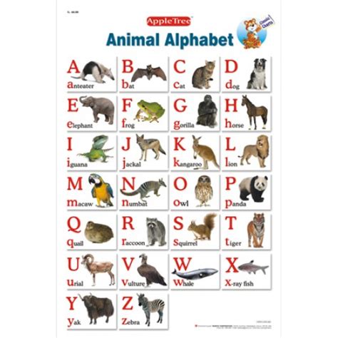 Animal Alphabet Char