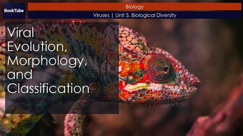 Viral Evolution Morphology And Classification Openstax Biology E My