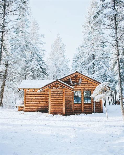 Maybe you would like to learn more about one of these? The Elk Crest Cabin, Bigfork, Montana #stayandwander (With ...
