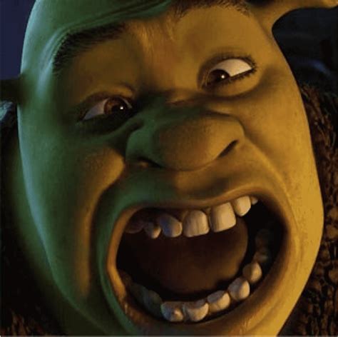 Shrek Film Series Donkey Puss In Boots Princess Fiona Shrek Face