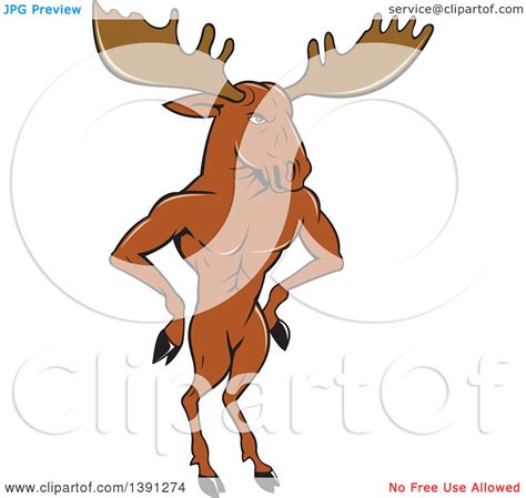Clipart Of A Cartoon Muscular Moose Man Standing Upright With Hands On