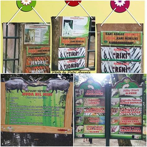 Peringatan isra mikraj peringatan israk miraj sman 1 perbaungan di rangkai dengan pemberian santunan kepada. Taman Hewan Pematang Siantar Terlengkap di Sumatera Utara | Medan Wisata - Travel Blogger ...