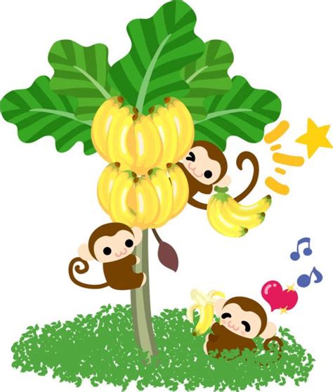 Banana Tree Stock Vectors Royalty Free Banana Tree Illustrations