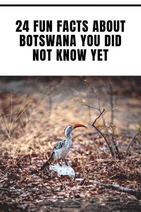 24 Fun Facts About Botswana You Did Not Know Yet