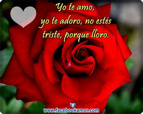 Postales De Rosas Rojas Para El Amor Im Genes Bonitas De Amor Frases Para Whatsapp