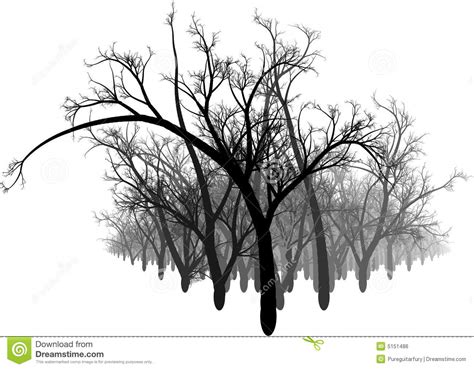 Black And White Forest Stock Illustration Illustration Of Leaf 5151486