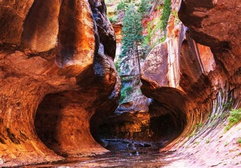 Best Slot Canyons In Southern Utah Recommended Hikes And Map