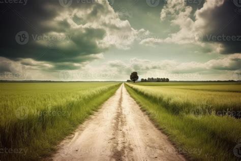 The Landscape Of Grass Fields And Blue Sky Road Leading Off Into The