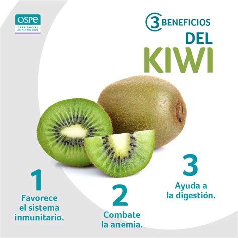 Beneficios Del Kiwi En 2021 Frutas Y Verduras Beneficios Consejos De Nutrición Recetas Para