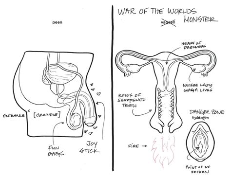 Hey guys, as a part of the wild west challenge on artstation i've created this female anatomy model that i've decided to make a breakdown of. Female Reproductive System Drawing at GetDrawings | Free ...