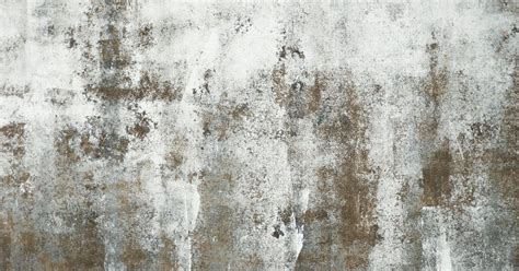Prendendo le giuste precauzioni possiamo pulire la lavatrice ed allungarle la vita, evitando gli odori fastidiosi che spesso si insidiano all'interno. Come pulire la muffa negli angoli ed evitare che si ...