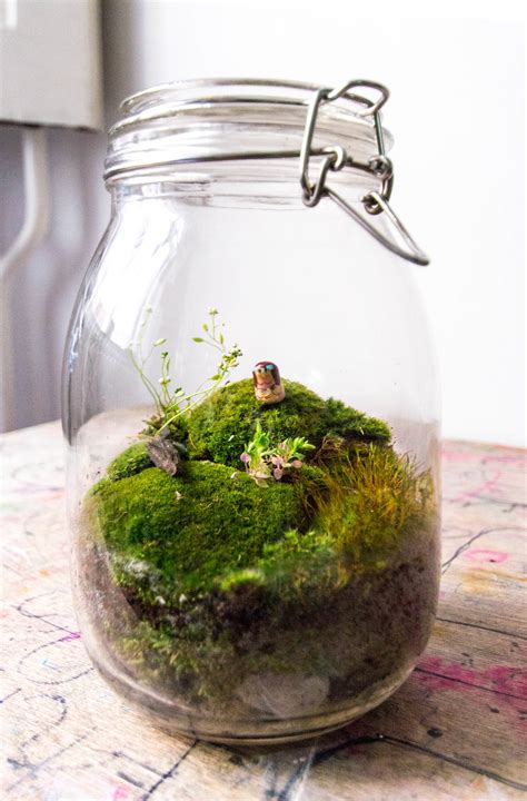 Moss Terrarium In A Jar Inspired By