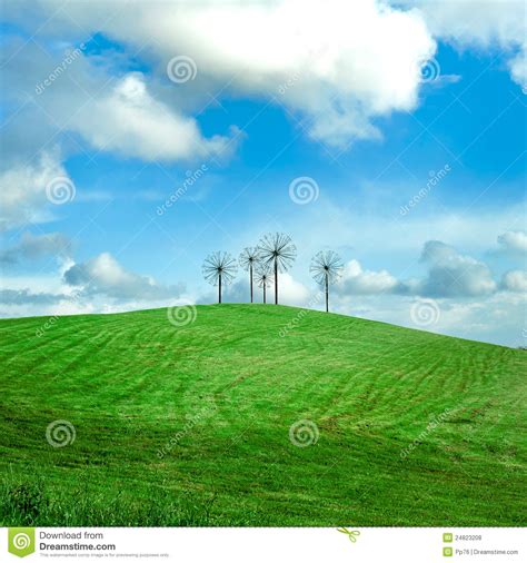 Green Field And Blue Sky With Flower Structure Stock Photo
