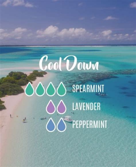 Essential Oil Diffuser Blends, Essential Oil Perfume, Essential Oil