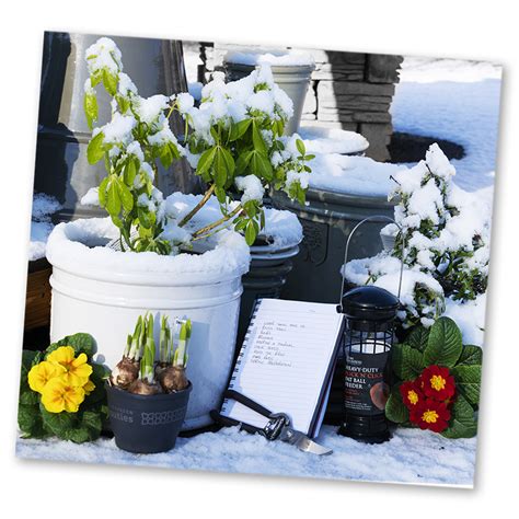 Winter Gardening Tips Gardening Centres Plants Seeds And Bulbs