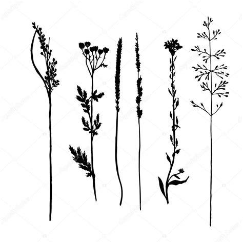 Free Free 107 Silhouette Wildflower Svg SVG PNG EPS DXF File