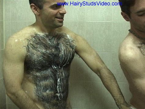 Hairy Studs Video Ultimate Brad Video