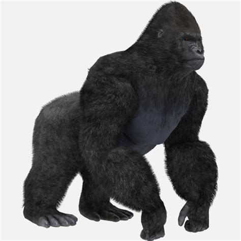 Best Of Gorilla 3d Model Rigged Free Image Mockup