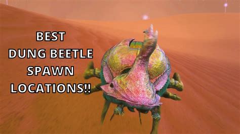 ARK Lost Island Best Dung Beetle Spawn Locations YouTube