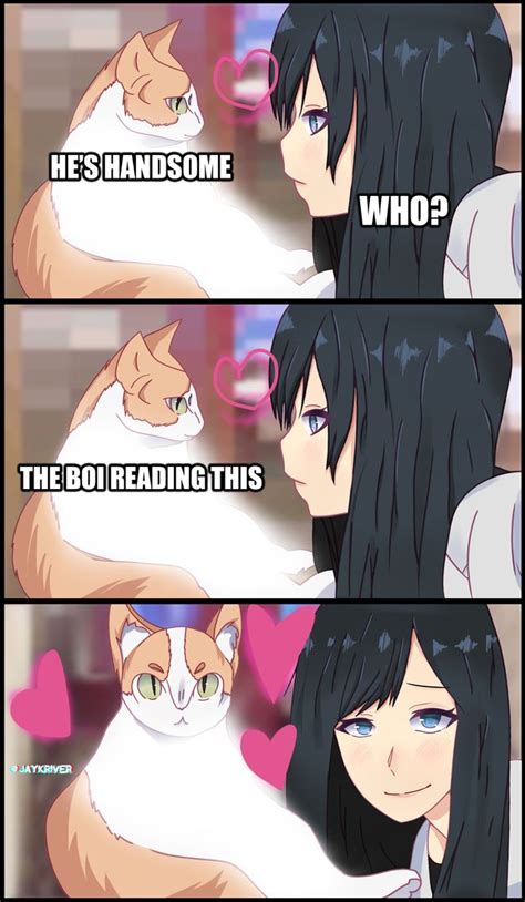 Pet ninja presents a cat memes compilation of 2021. Redrew this meme and I found out I can't draw cats in 2021 ...