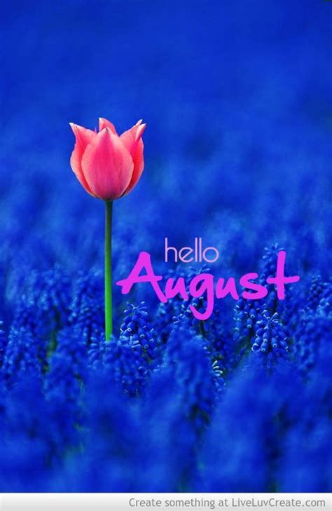 August (aug.) is the eighth month of the year in the gregorian calendar, coming between july and september. Hello August Pictures, Photos, and Images for Facebook ...