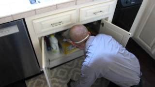 Crazy ant pest control, bug solutions pest control, official pest prevention, inc., western southwest, terminix. 3 Best Pest Control Companies in Concord, CA - Expert ...