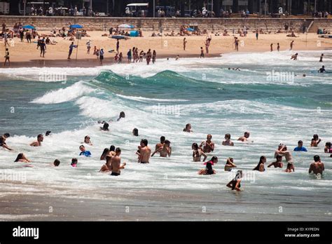 Beach With People Swimming