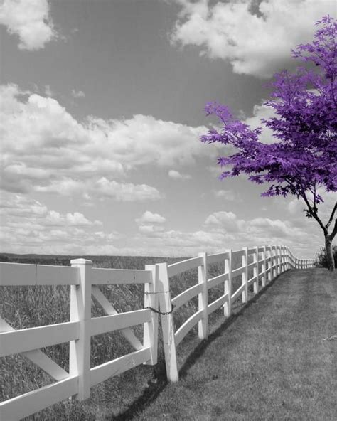 Black White Purple Wall Art Modern Purple Tree Landscape Etsy In 2021