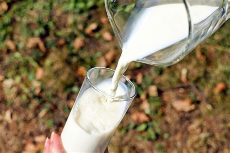 Glas Milch Gießen Kostenloses Foto auf Pixabay Pixabay