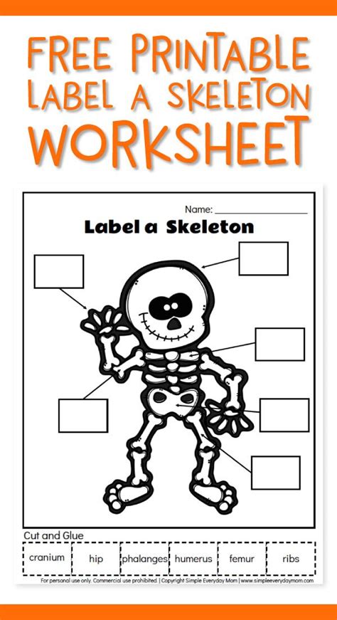 Human Body Activities For Kids Use These Free Printable Skeletal