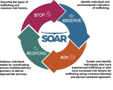 Soar National Human Trafficking Training And Technical Assistance Center