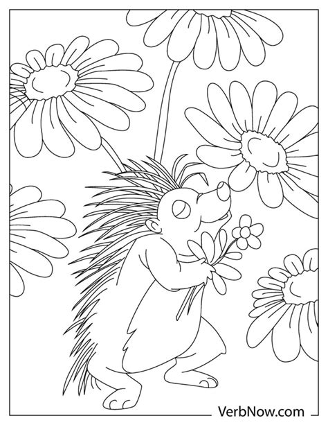 21 Porcupine Coloring Page Chapters Site
