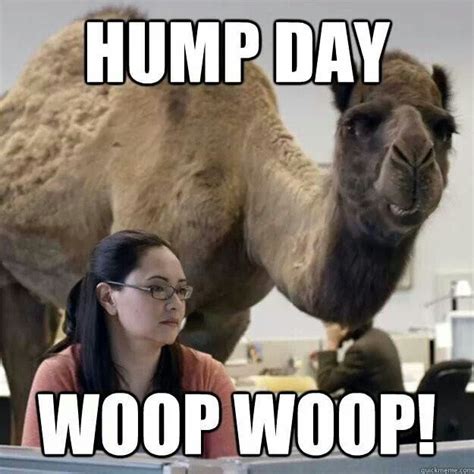 Hump Day Funny Pictures Hilarious Funny Memes