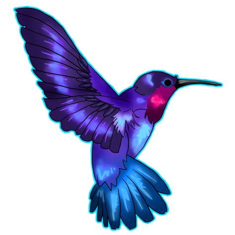 Hummingbird Png Transparent Image Download Size 894x894px