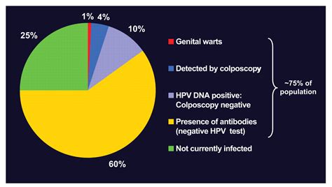 Epidemiology And Natural History Of Genital Human Papillomavirus Infection