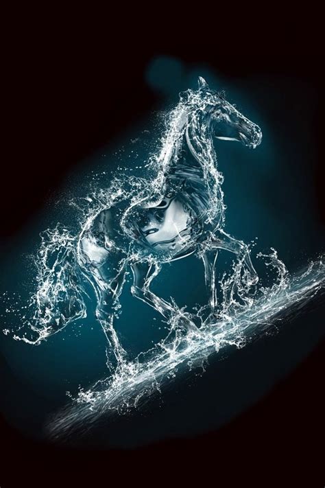 Water Iphone Wallpaper Bing Images Horse Photos Horse Pictures Free