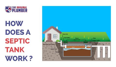 How Does A Septic Tank Work Learn How Septic Systems Treat Wastewater