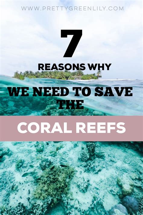 Reasons Why We Need To Save The Coral Reefs Coral Reef Eco Friendly Inspiration Pretty Green
