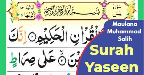 Surah Yaseen In English Learn Quran Basics