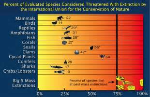 Preventing The Sixth Mass Extinction Requires Dealing With Climate