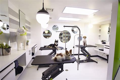 Pooch Pampering Beverly Hills Has Gone To The Dogs Dog Grooming Salon