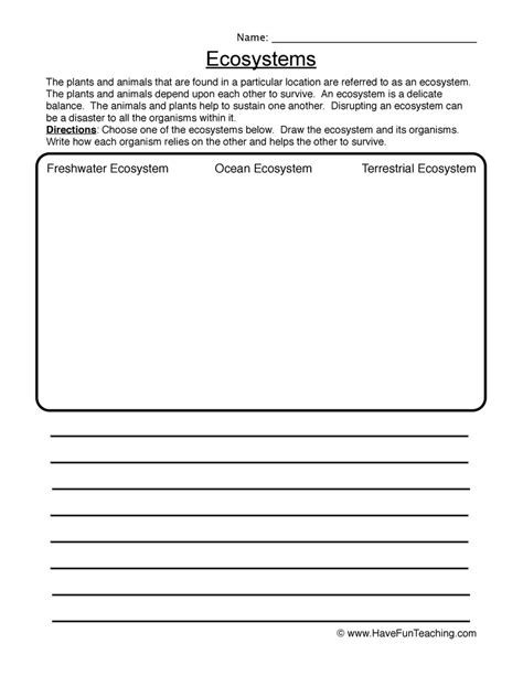 What Is An Ecosystem Worksheet